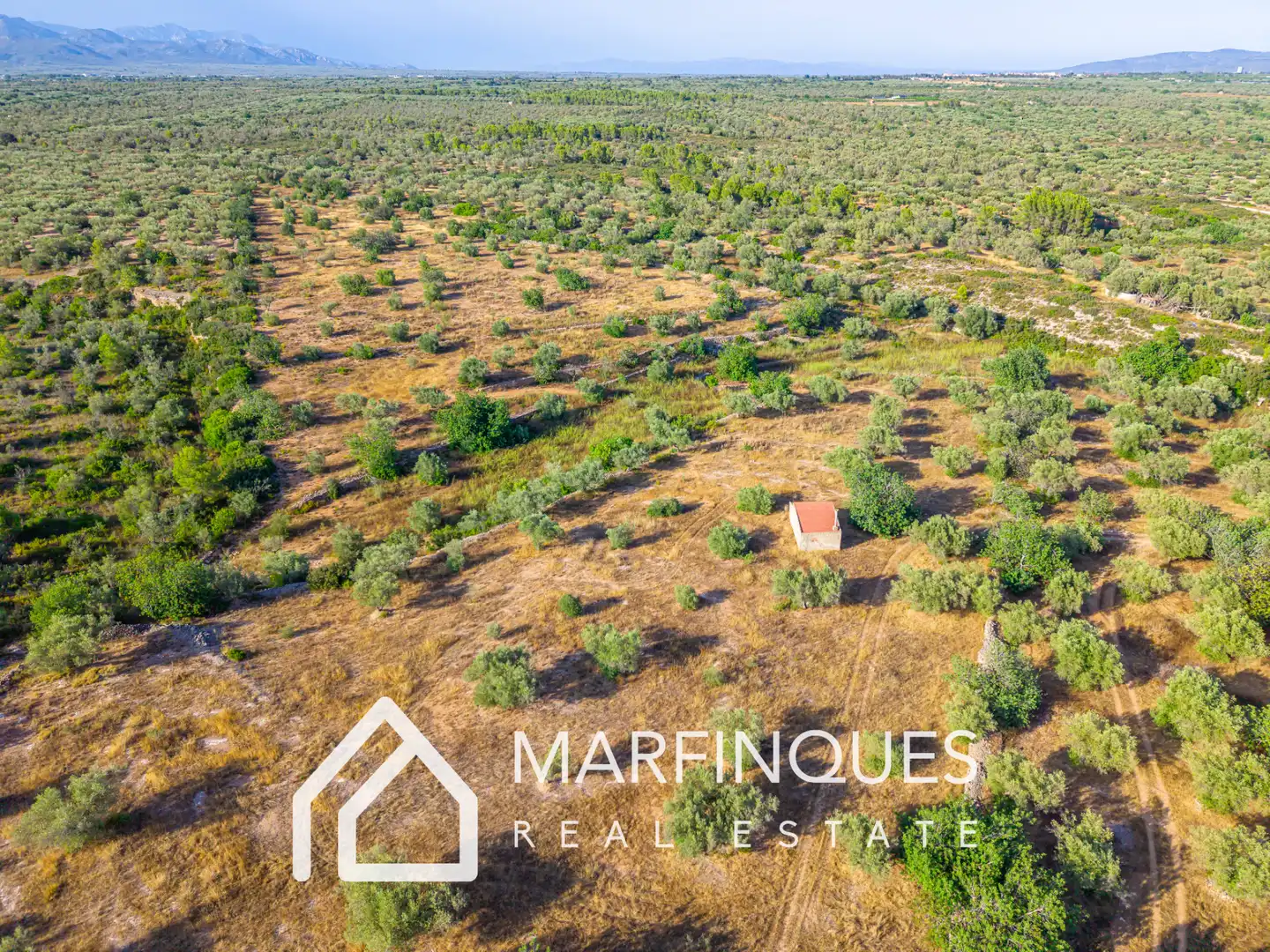 Terreno rustico in vendita a San Rafael del Río, imagen 11