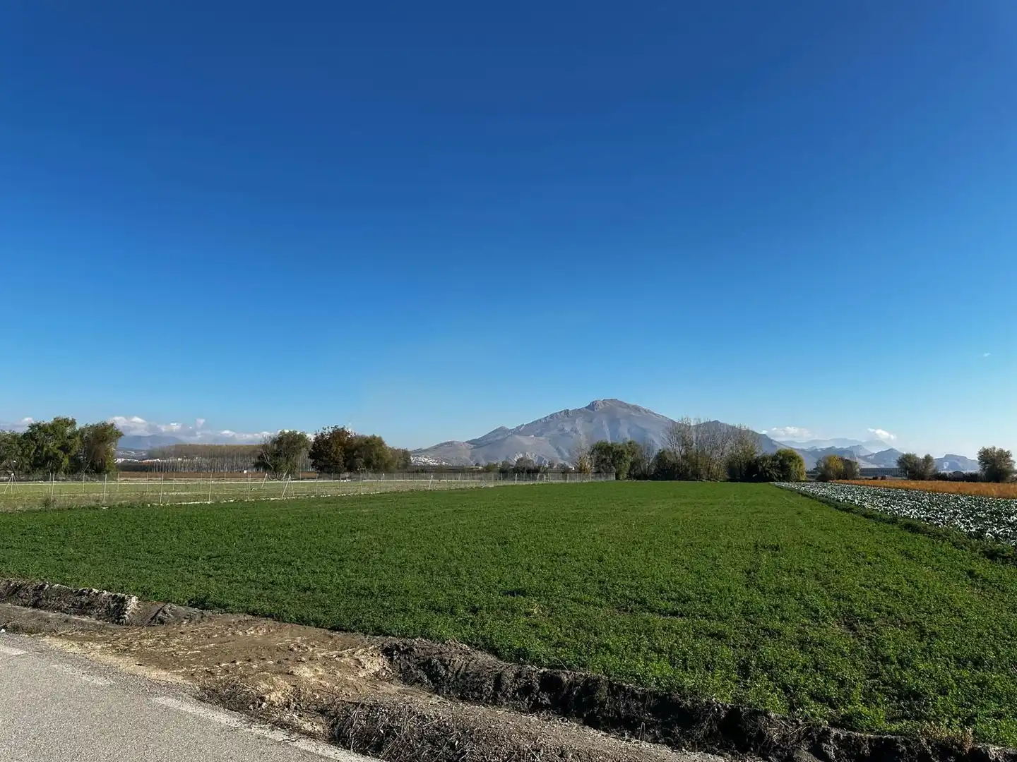 Terrains et parcelles à vendre à Fuente Vaqueros, imagen 7