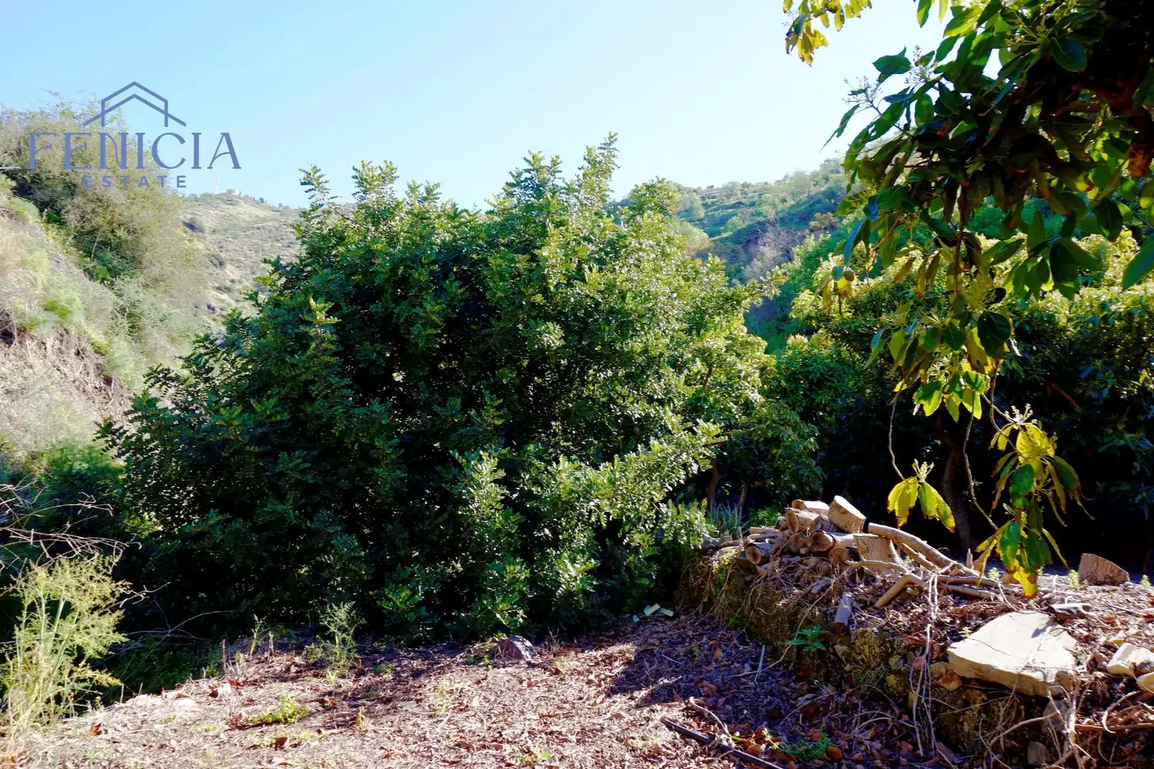 Terreno en venta en Ítrabo