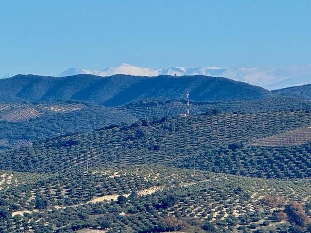 Finca rústica en Venta en Iznájar