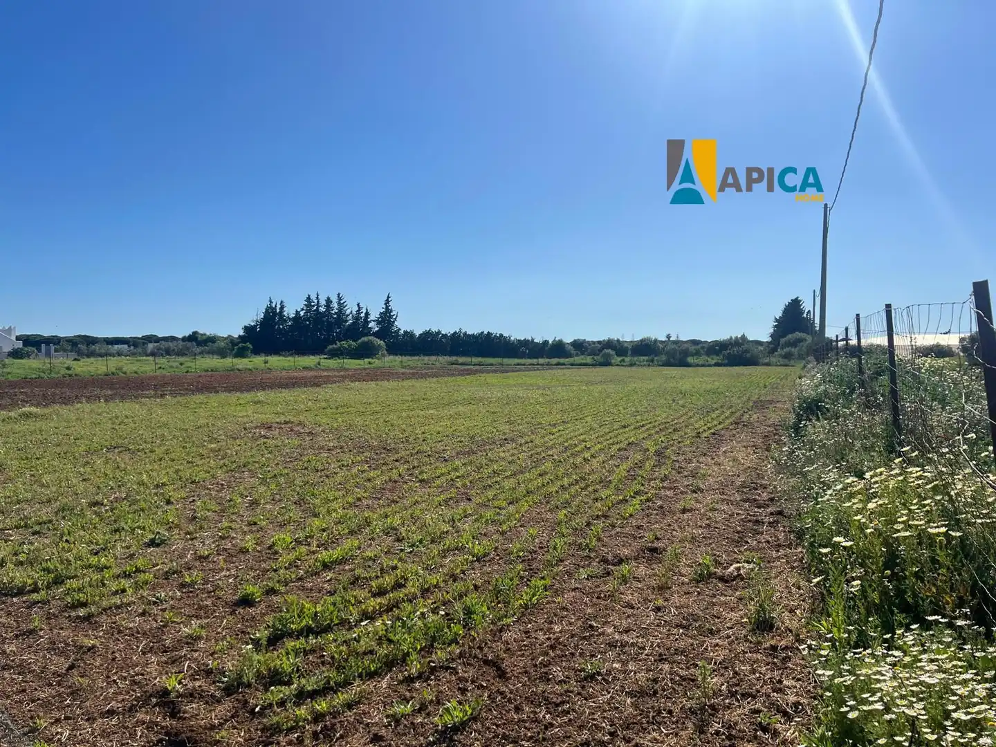 Terreno en venta en Conil de la Frontera
