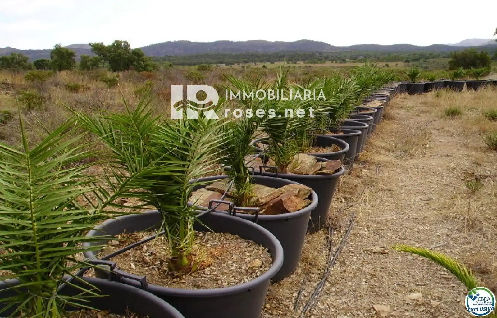 Rural land for sale in Butaros, imagen 11
