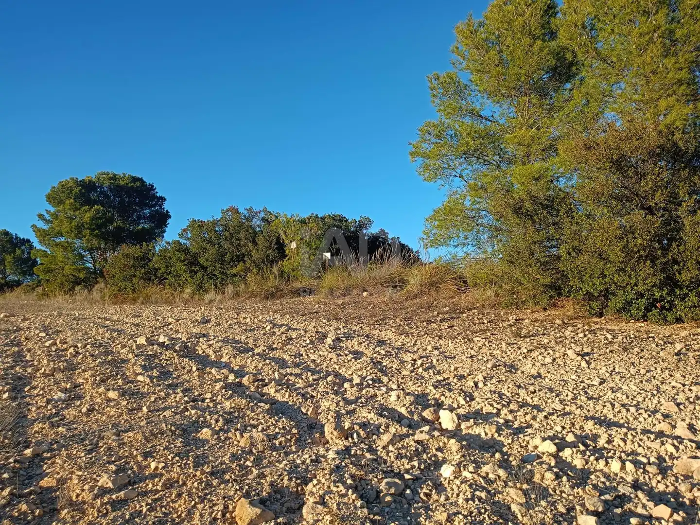 Terreno en venta en Lorca