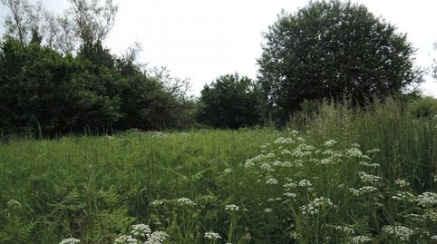 Foto 5 von Residential zum Verkauf in Amoeiro, Ourense