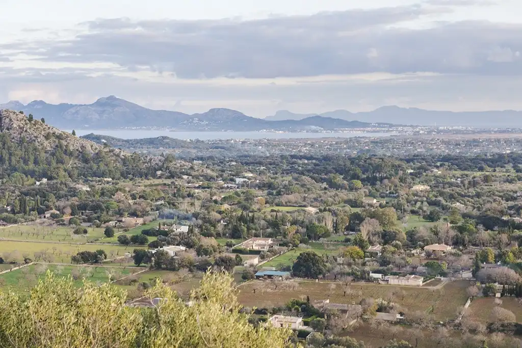 Rustikales Grundstück zum Verkauf in Pollença Poble, imagen 10
