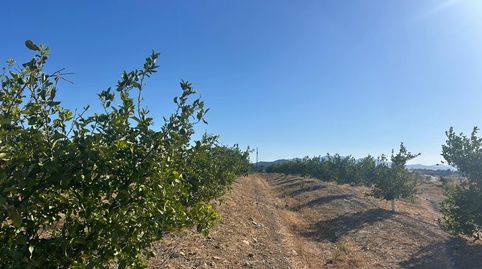 Foto 4 de Terreno en venta en Casalpalma - Fahala, Cártama