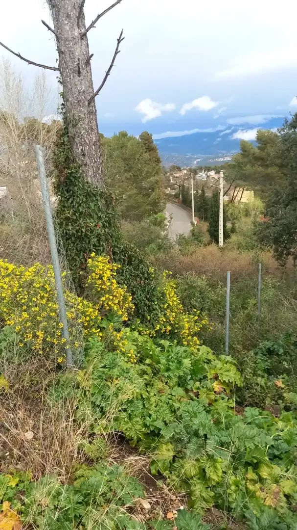 Residential land for sale in Carrer de Domenec Roure Babra 466, imagen 2