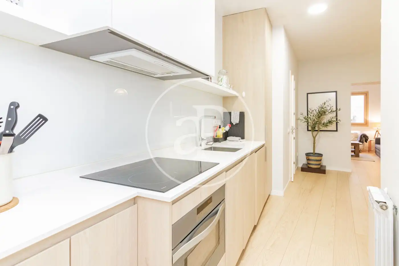 Kitchen of Flat for rent in Madrid  with Air Conditioner, Heating and Furnished