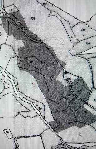 Terreno en Venta en Villamontes - Boqueres