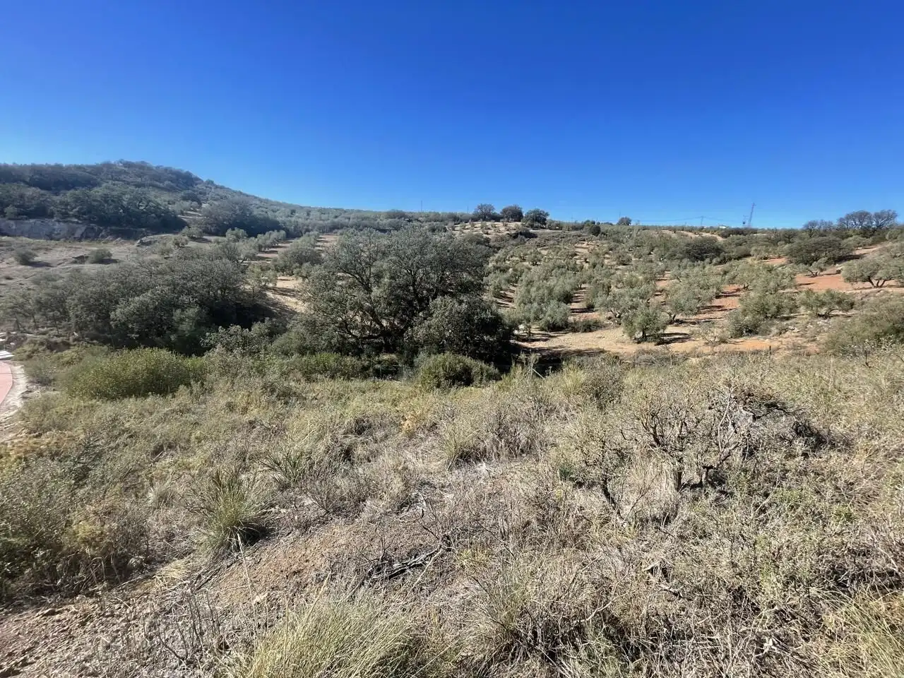 Terreni e lotti in vendita a Bobadilla - Bobadilla Estación - La Joya, imagen 3