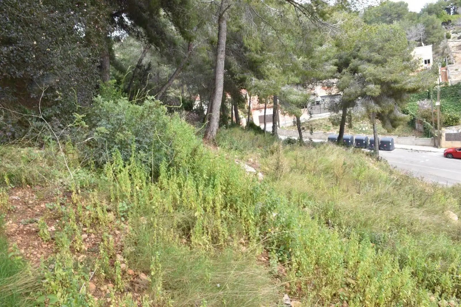 Rural land for sale in GLADIOL, imagen 5