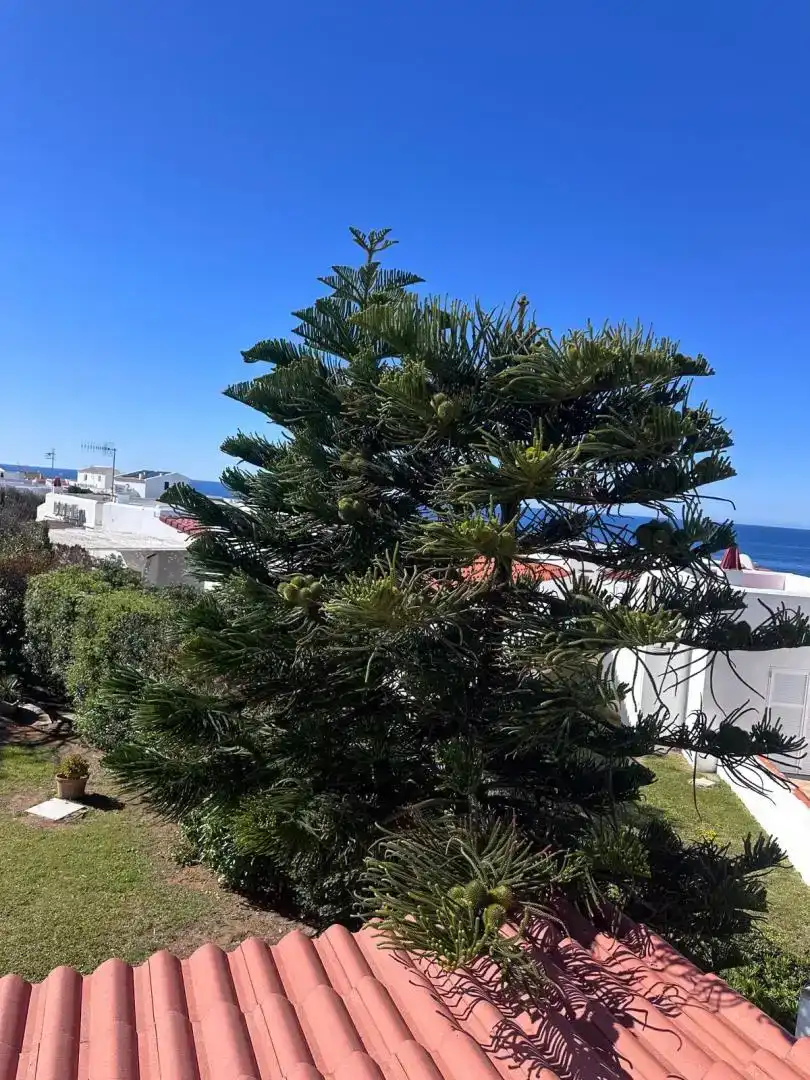 Vista exterior de Pis en venda en Ciutadella de Menorca amb Aire condicionat, Jardí privat i Traster