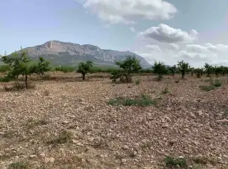 Terreny en venda en Vélez-Rubio