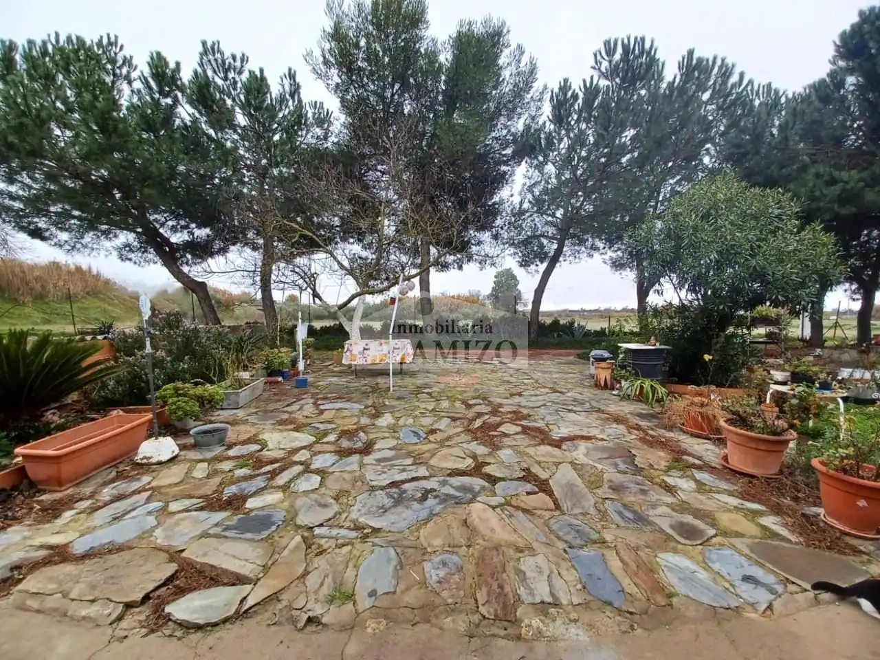 Xalet amb jardí en venda a Calle San Francisco 43, imagen 19