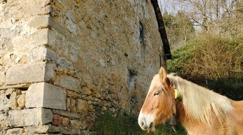 Foto 5 de Finca rústica en venta en Tolosa, Gipuzkoa