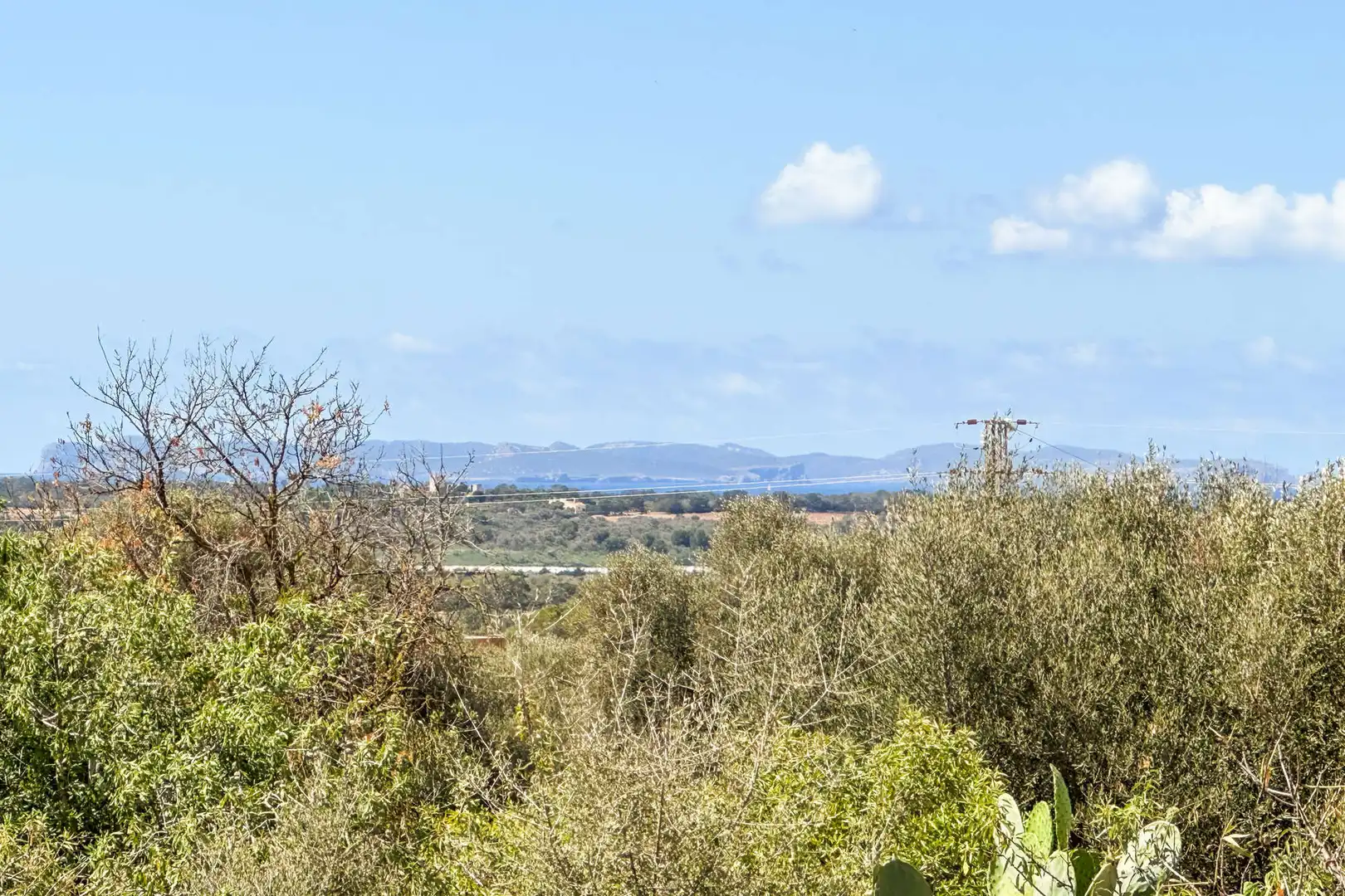 Wohnbaugrundstück zum Verkauf in Ses Salines Poble, imagen 3