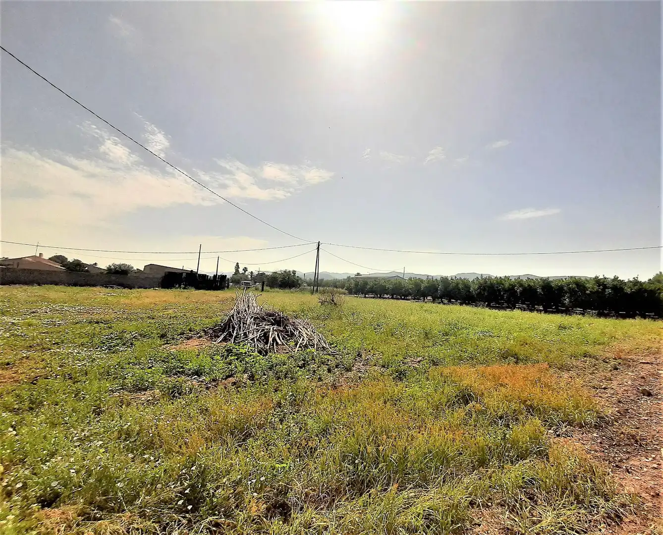 Terreny residencial en venda a Pedanías Sur, imagen 4