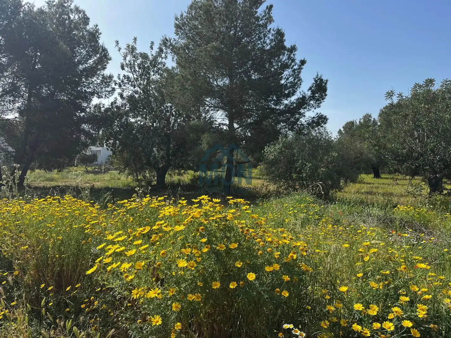 Terreny residencial en venda a San Antonio de Benagéber