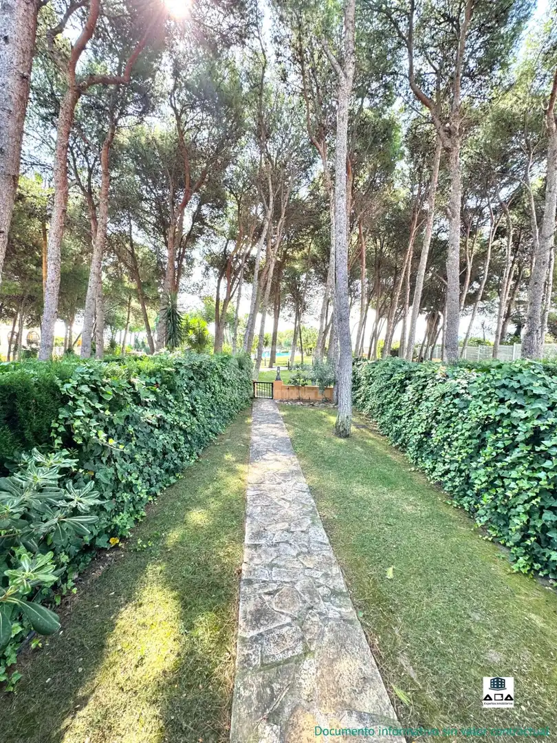 Garten von Einfamilien-Reihenhaus zum Verkauf in Alcalà de Xivert mit Klimaanlage, Privatgarten und Terrasse