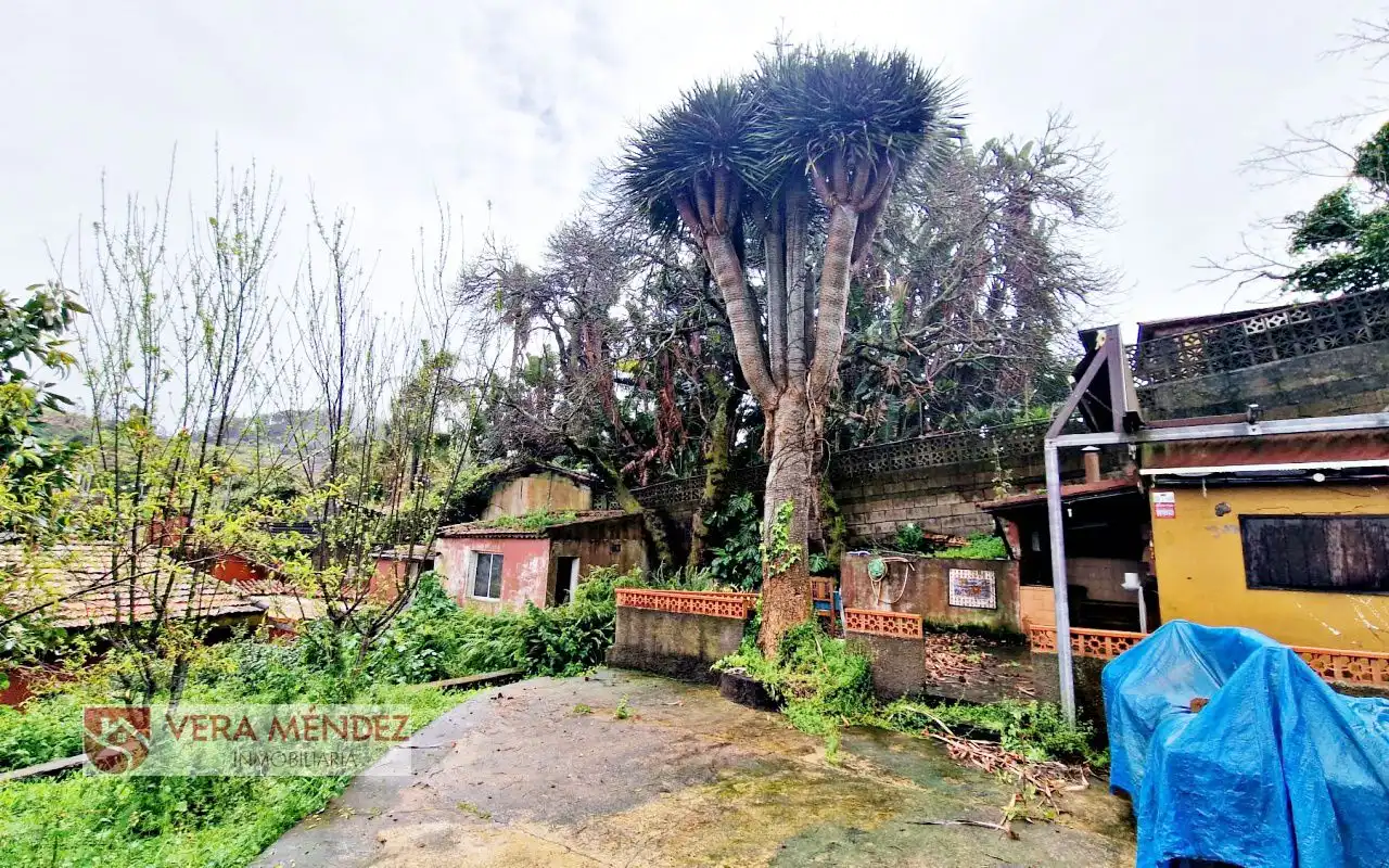 Vista exterior de Casa o xalet en venda en Tacoronte