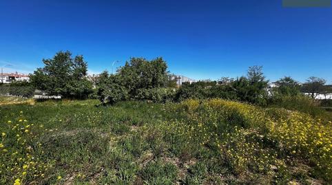 Foto 5 de Residencial en venta en Los Berrocales, Madrid