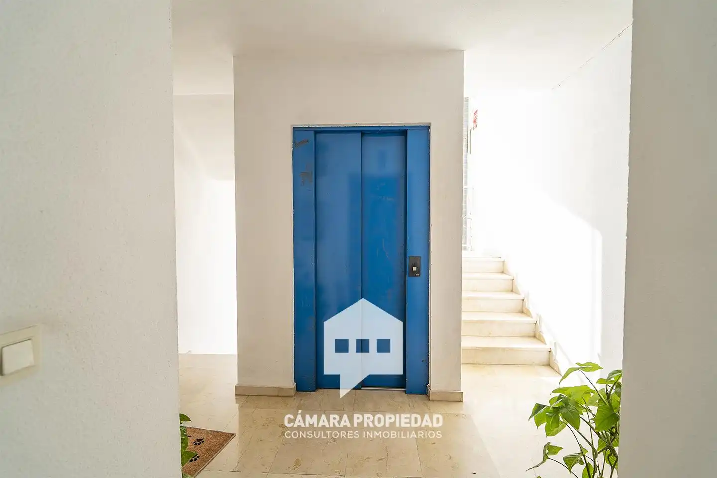 Duplex avec terrasse à vendre à Avenida Alcalde Federico Molina Orta, imagen 3