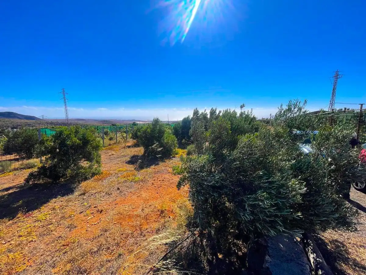 Land for sale in Ingenio