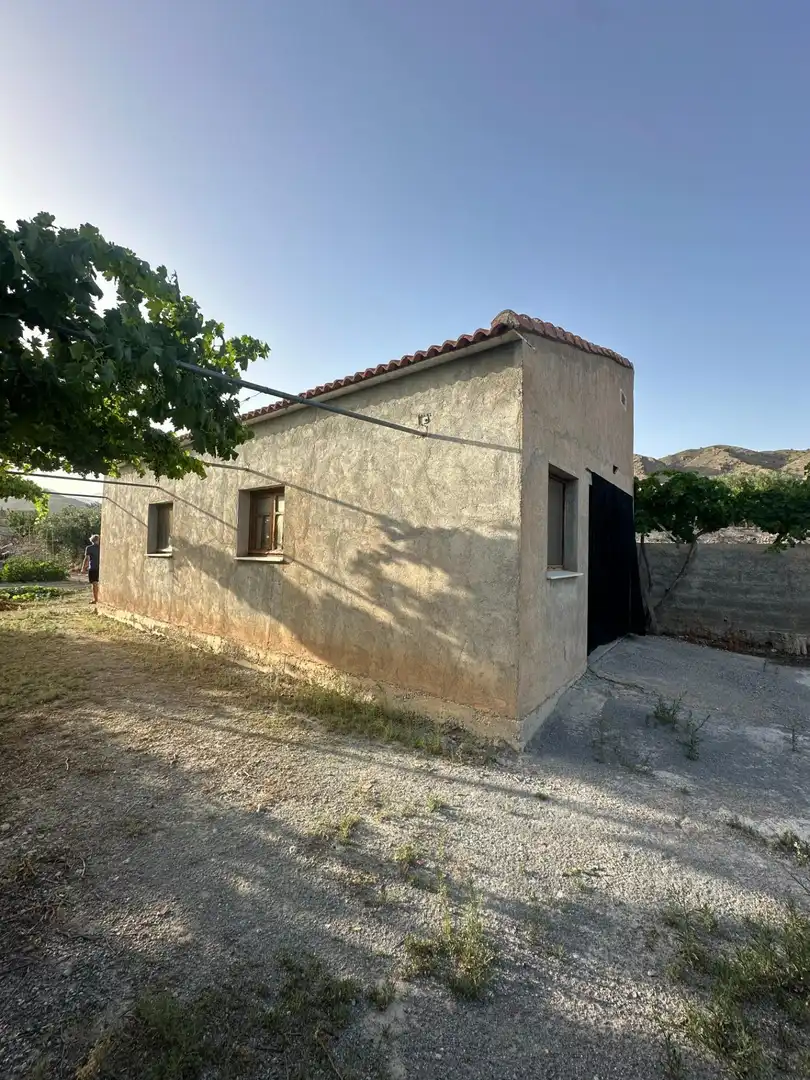 Vista exterior de Finca rústica en venta en Somontín