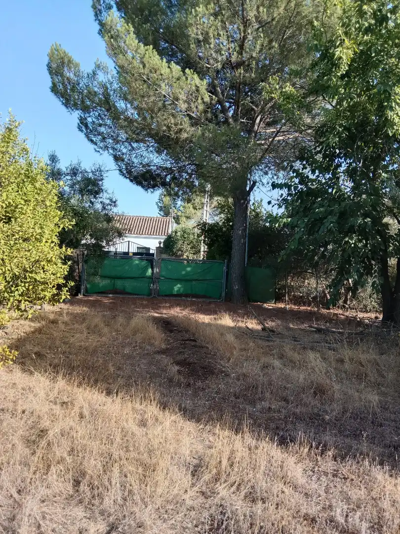 Land for sale in Avenida María Auxiliadora, 40, Torre Cruz - Los Molinos