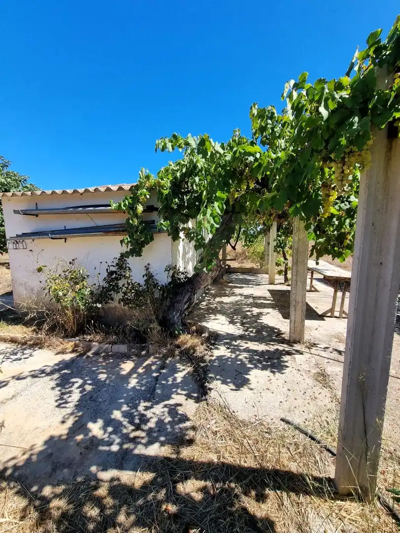 Lands and plots for sale in poligono 17 parcela 32, imagen 19