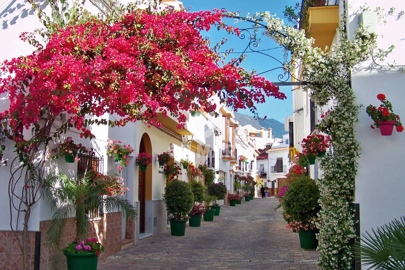 Gewerbefläche zum Verkauf in Estepona Pueblo, imagen 4