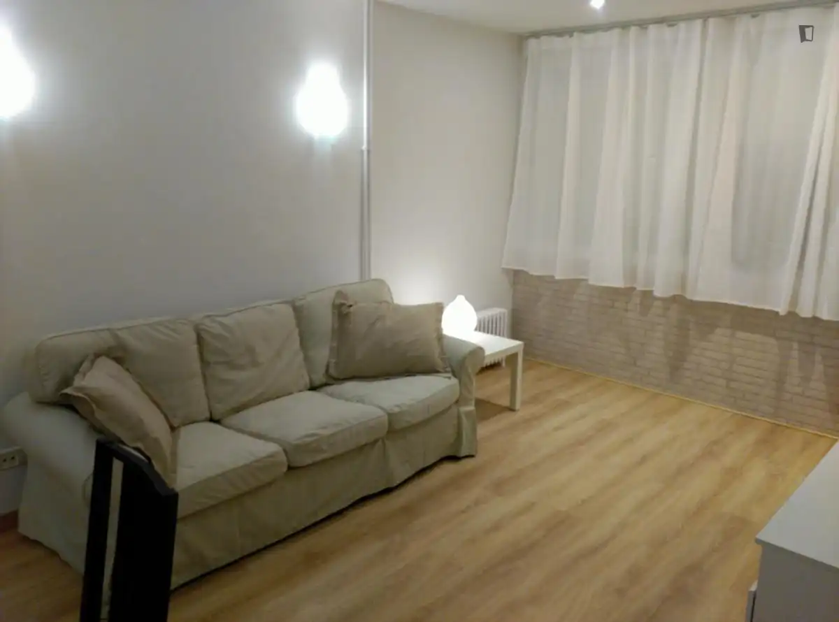 Sala d'estar de Apartament de lloguer en Madrid amb Aire condicionat, Calefacció i Moblat