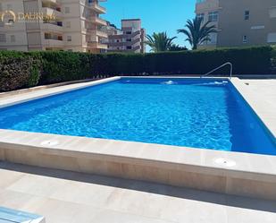 Swimming pool of Flat for sale in Elche / Elx  with Terrace, Swimming Pool and Community pool