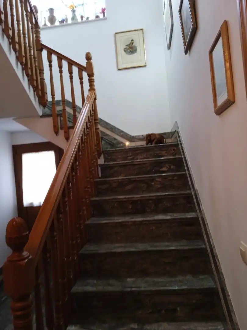 Casa o chalet en venta en Cuevas del Becerro con Aire acondicionado, Calefacción y Jardín privado