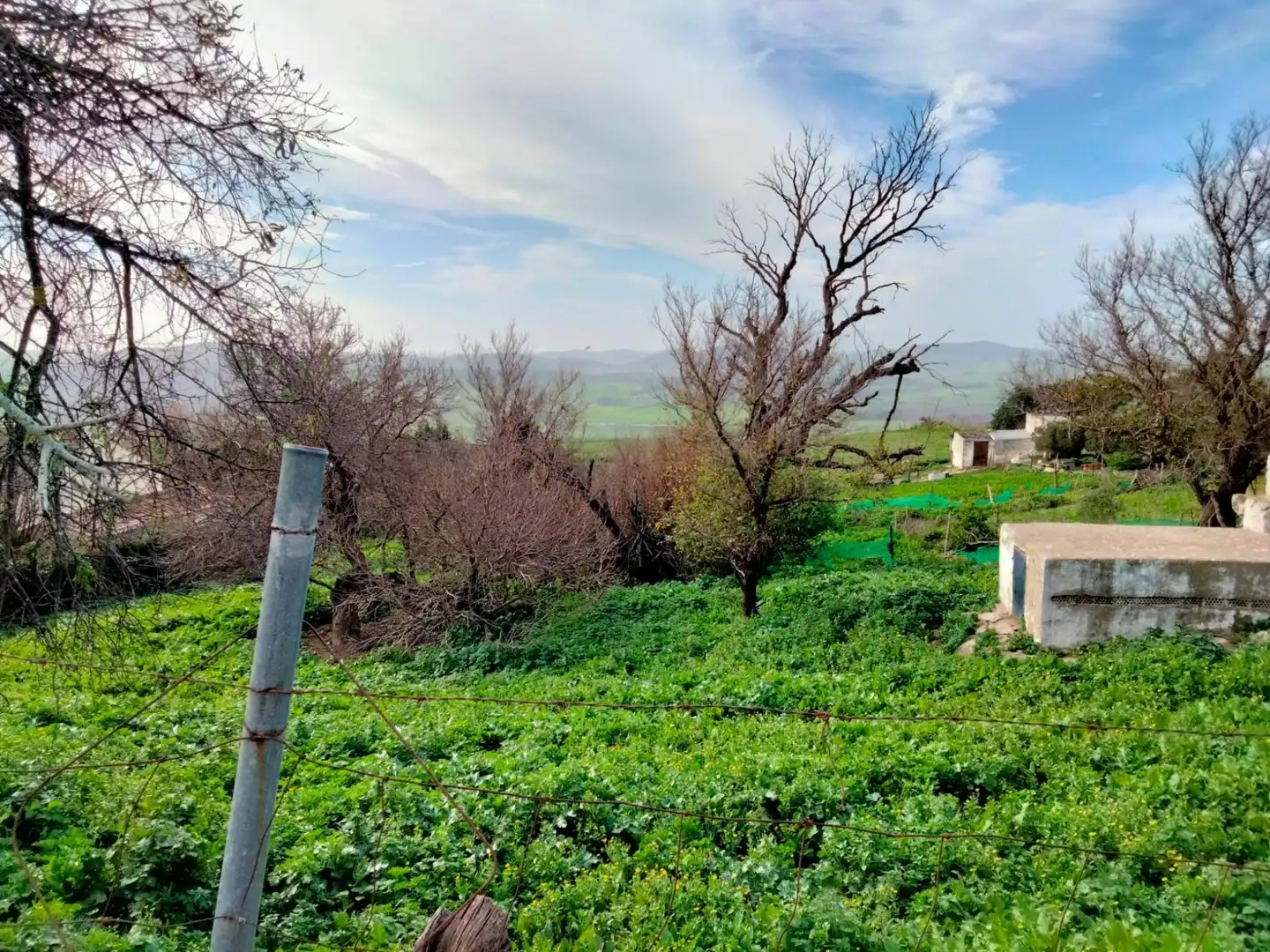 Terreny residencial en venda a Medina Sidonia, imagen 12