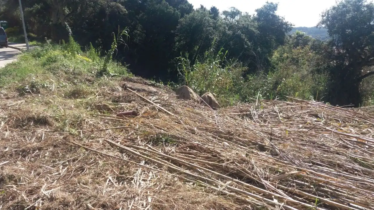 Terrenys i solars en venda a Roca Grossa, imagen 6