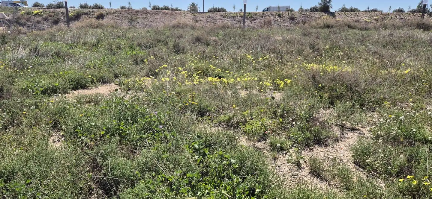 Grundstücke und Bauplätze zum Verkauf in Elche ciudad, imagen 18