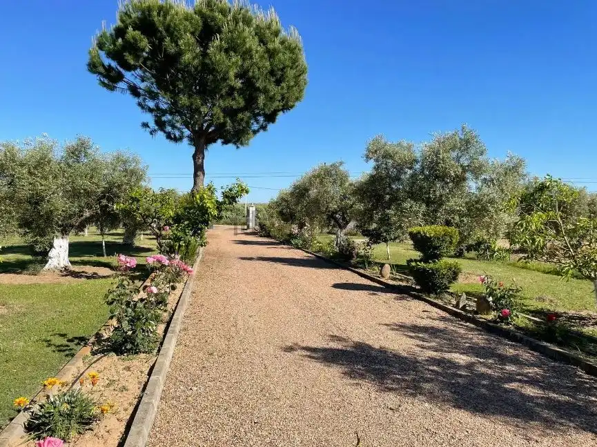 Garden of Houses for sale in Mengabril  with Private garden, Parquet flooring and Terrace
