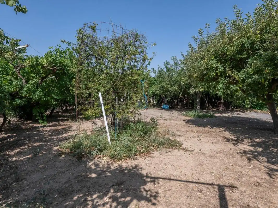 Xalet amb terrassa en venda a Cam. Viejo del Casar, imagen 28