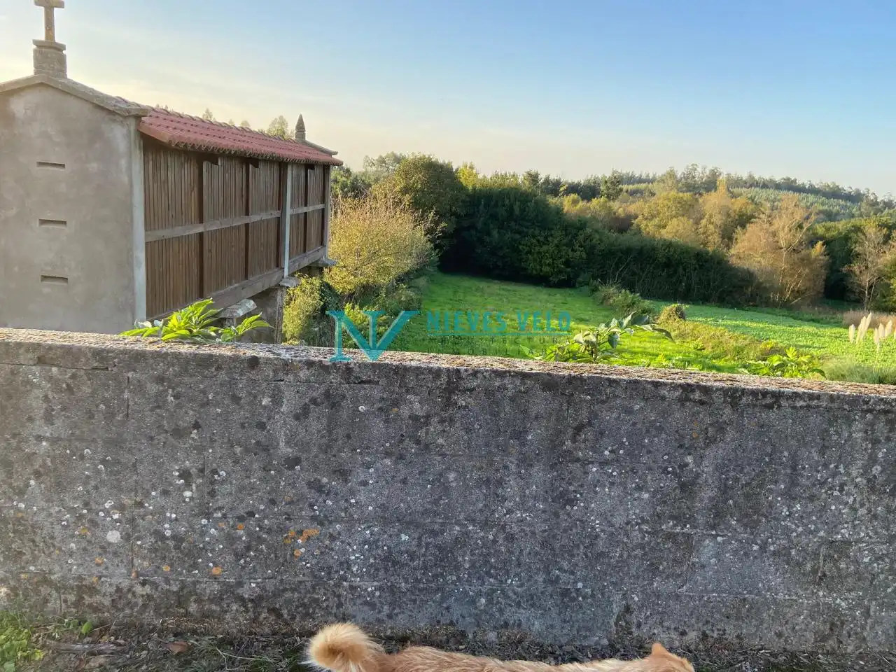 Maison avec jardin à vendre à Carballo, imagen 3