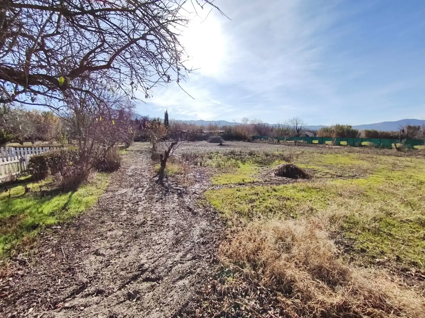 Terreno rústico en venta en Sangüesa-Zangoza - Huertas de Pastoriza, imagen 17