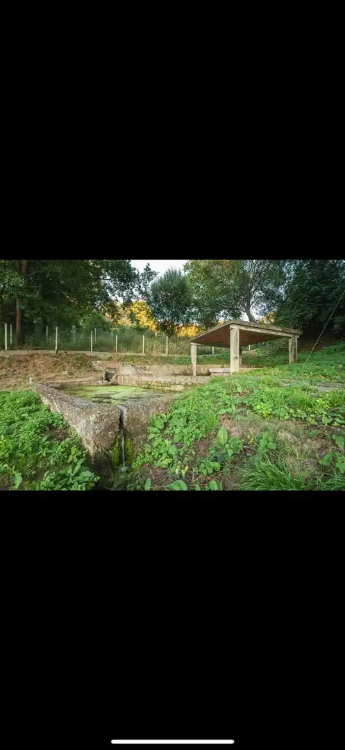 Jardí de Casa o xalet en venda en A Merca   amb Jardí privat, Terrassa i Moblat