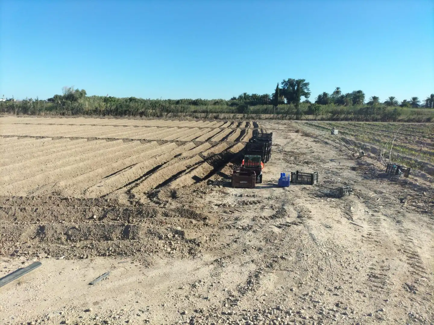Casa rústica en venda a Granja de Rocamora, imagen 30