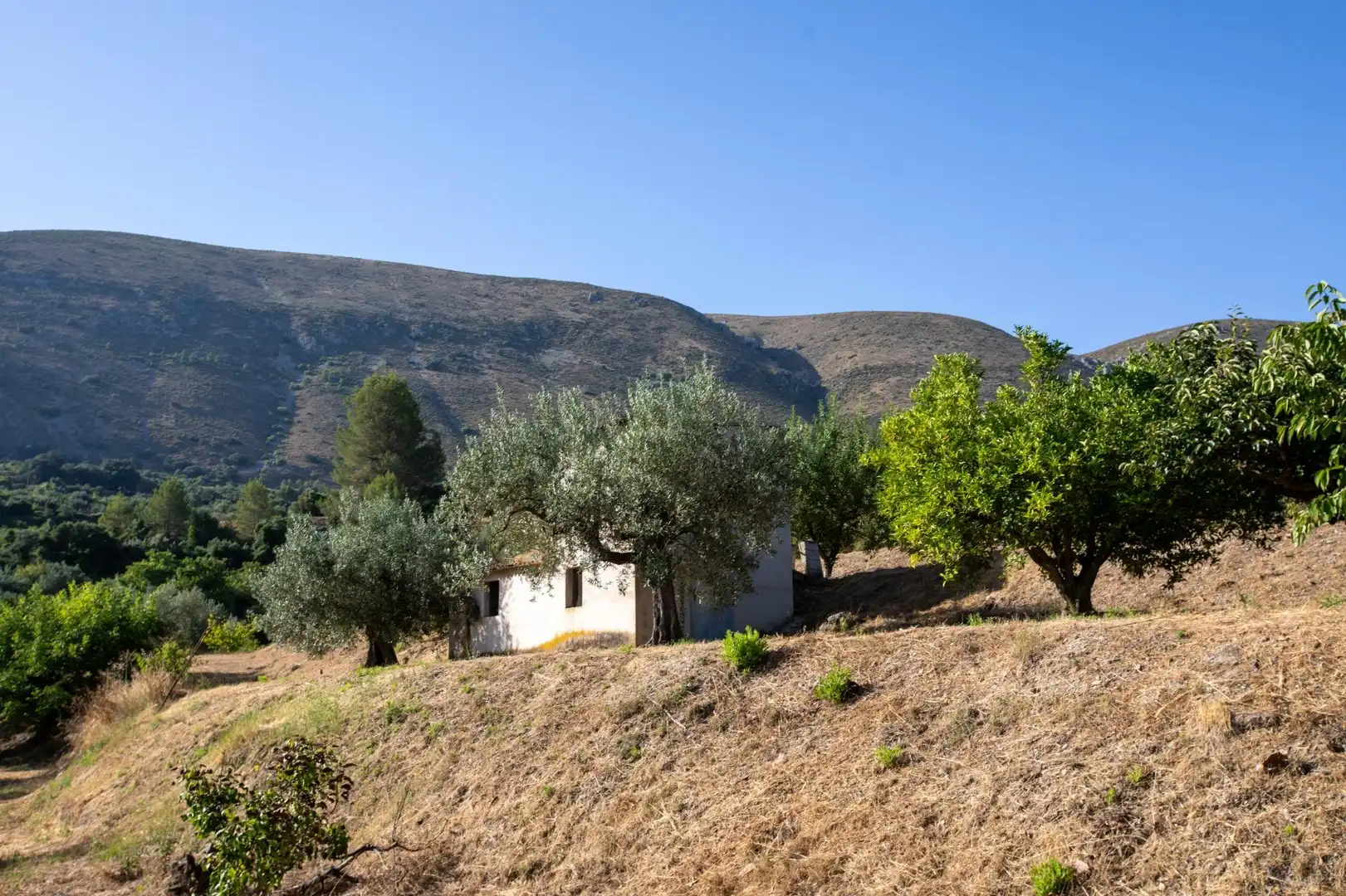 Vista exterior de Casa o xalet en venda en Almudaina amb Moblat