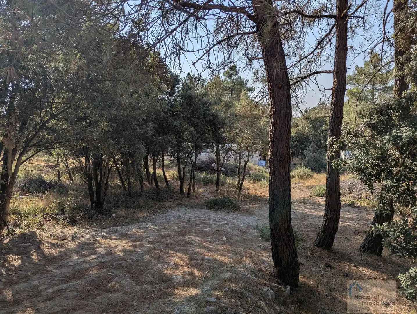 Houses for sale in Marugán