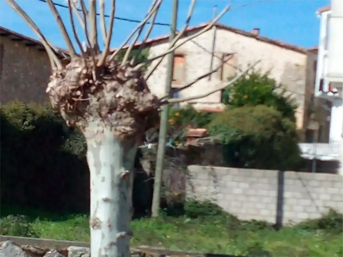 Jardín de Residencial en venta en Acebo