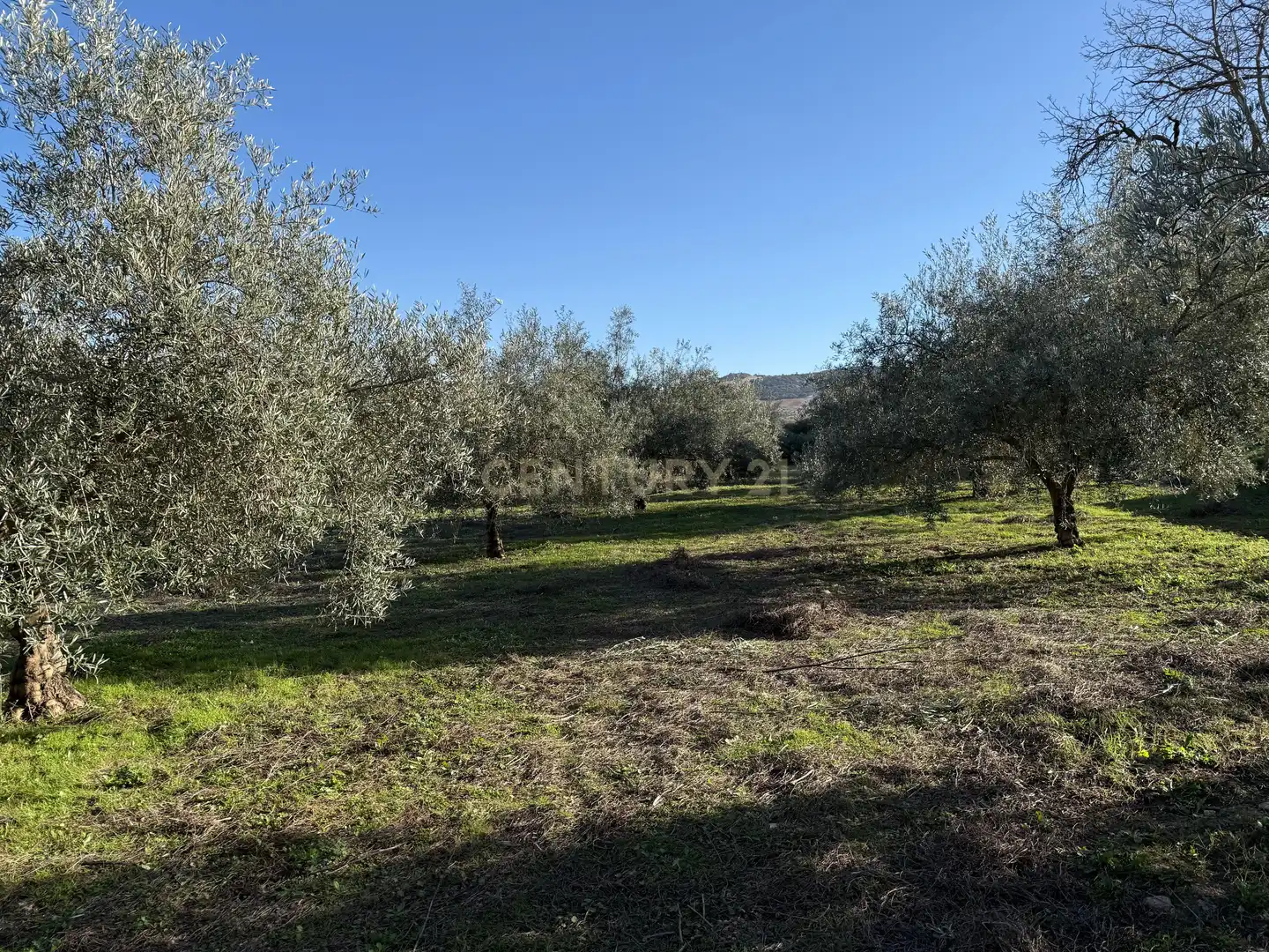 Rustikales Grundstück zum Verkauf in 8536+FQ Algarra sales, Spain, imagen 8