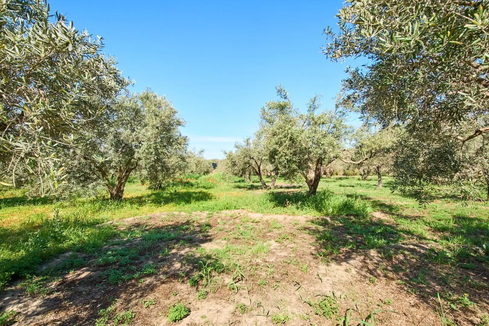 Casa rústica amb jardí en venda a Camino de la Vegueta, imagen 47