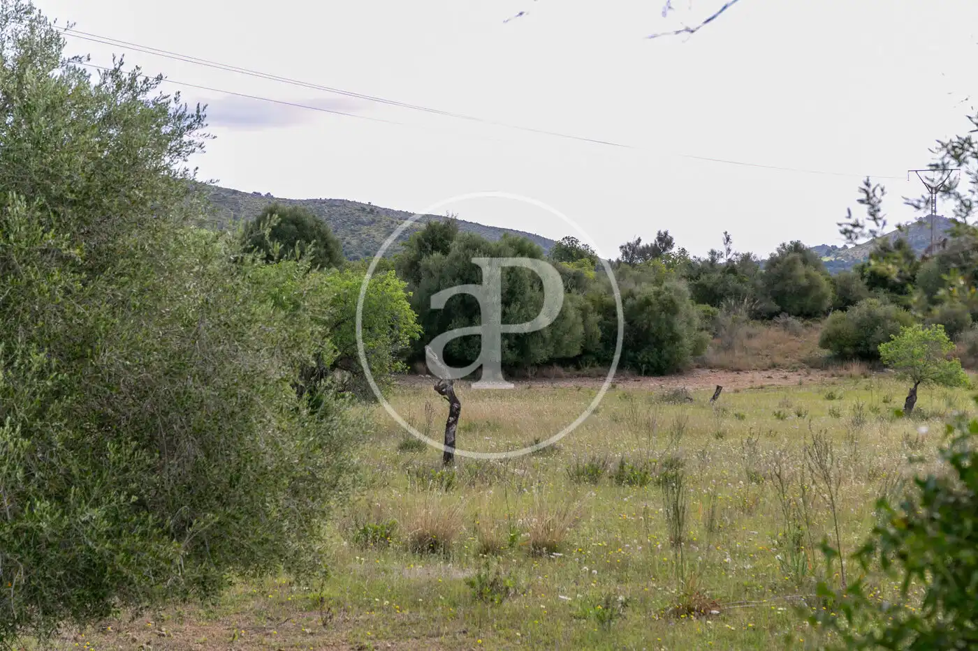 Terreny residencial en venda a Av. Montferrutx, imagen 35