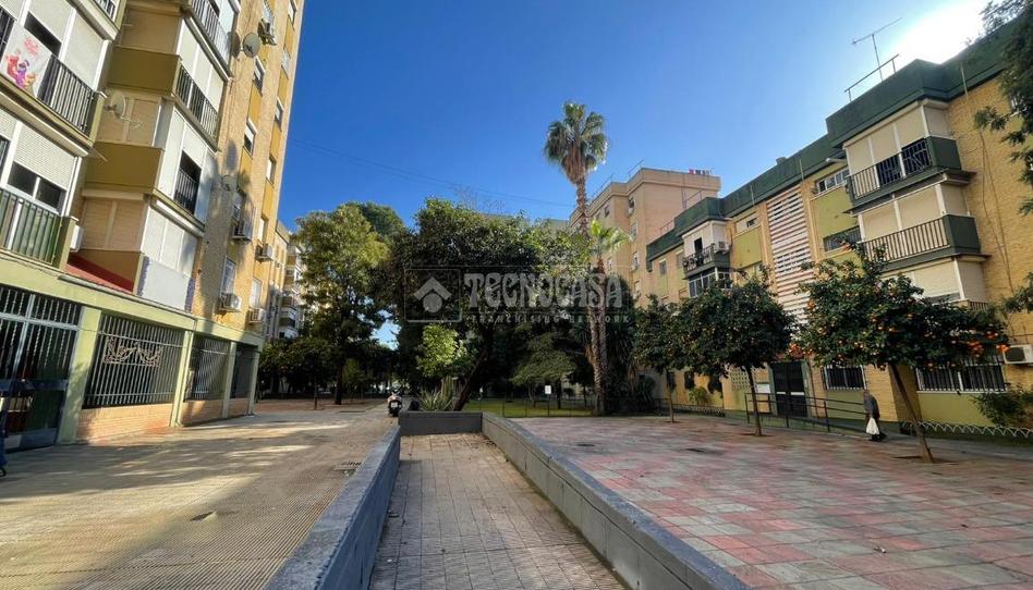 Foto 1 de Piso en venta en Pino Montano - Consolación, Sevilla